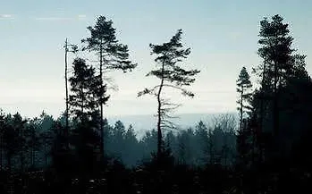 Du Val D'aisne 3* Fanzel